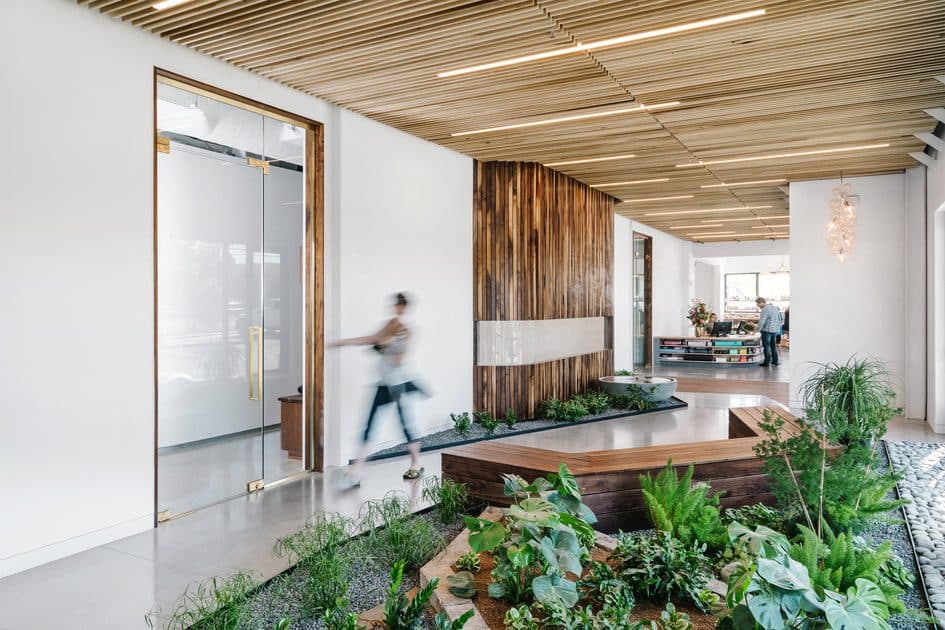 Alive and Well Austin — studio photo, Bee Cave, TX