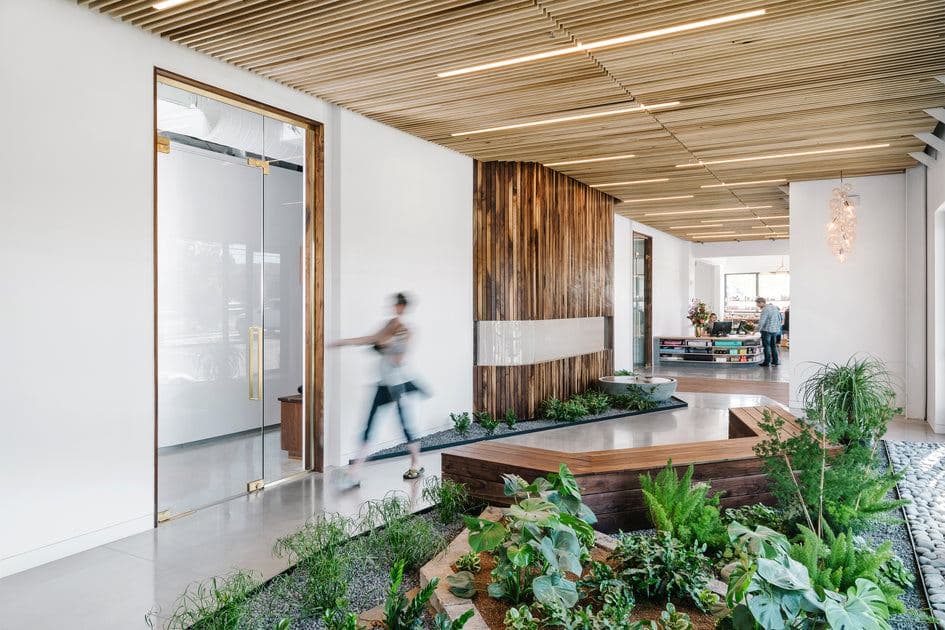 Alive and Well - Dallas — studio branding, Dallas, TX